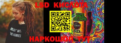 прущие крисы Кингисепп