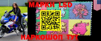 прущие крисы Кингисепп