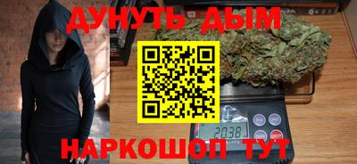 прущие крисы Кингисепп