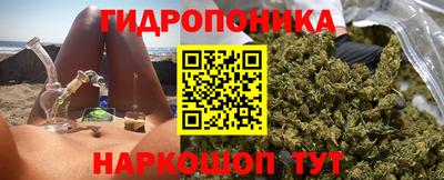 прущие крисы Кингисепп