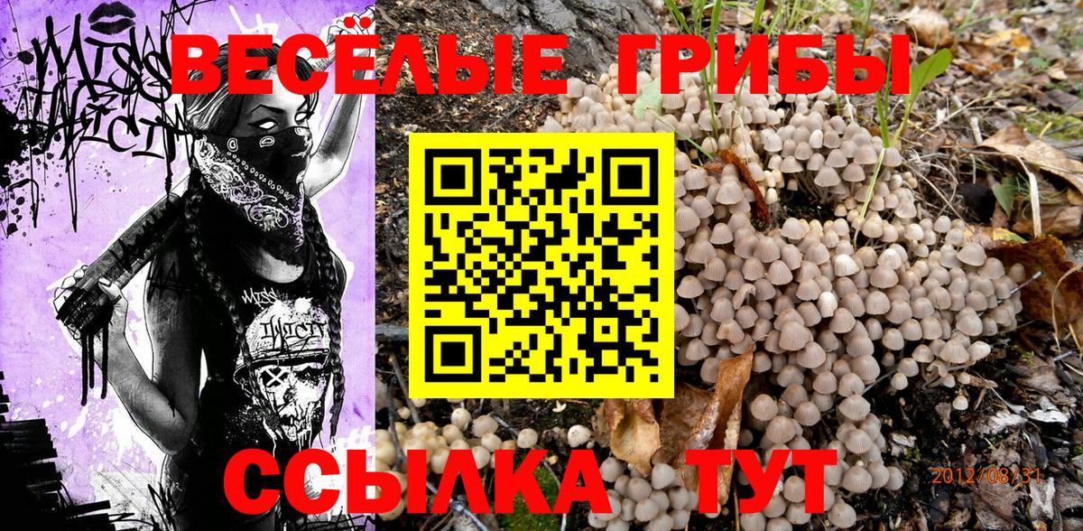 Псилоцибиновые грибы мицелий Туапсе